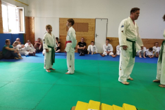 thumbnail_IMG_20230611_150639